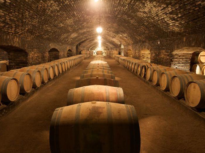 Обзор чилийского вина