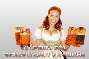 Если болит желудок после алкоголя