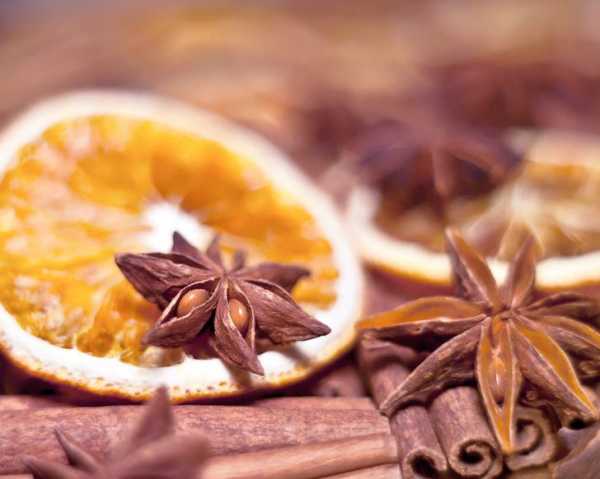 Как выбрать лучший ром