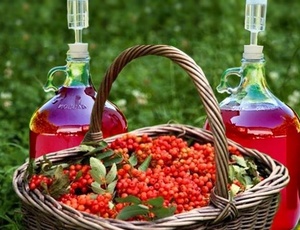 Рябиновое вино в домашних условиях