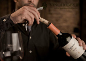 Как подобрать лучшее красное и белое вино