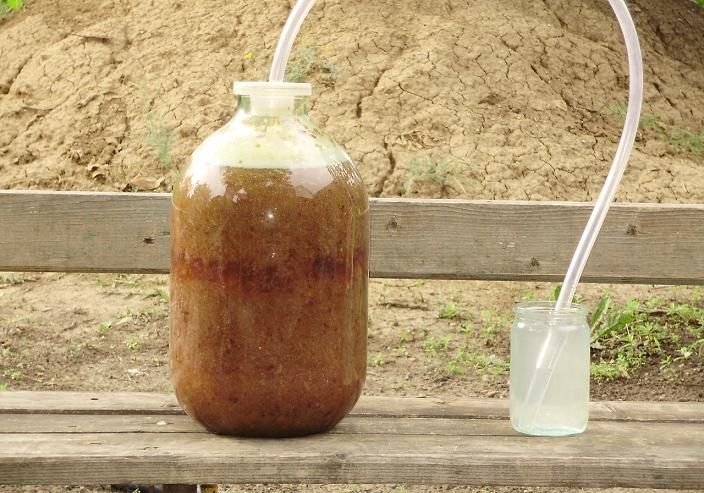 Как определить готовность браги к перегонке