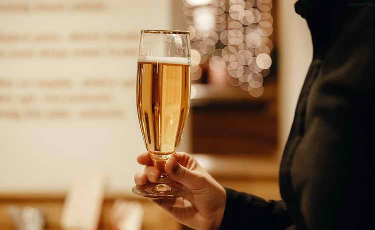 Обзор чешского пива