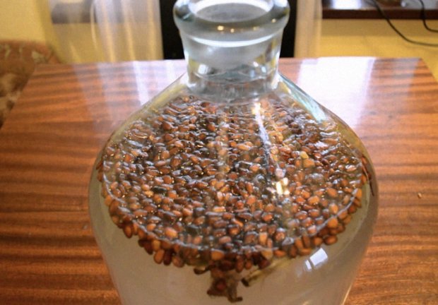 Вкусные рецепты самогона на кедровых орехах