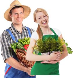 Как готовится настойка на фейхоа