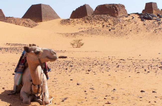 Что означает сухой закон