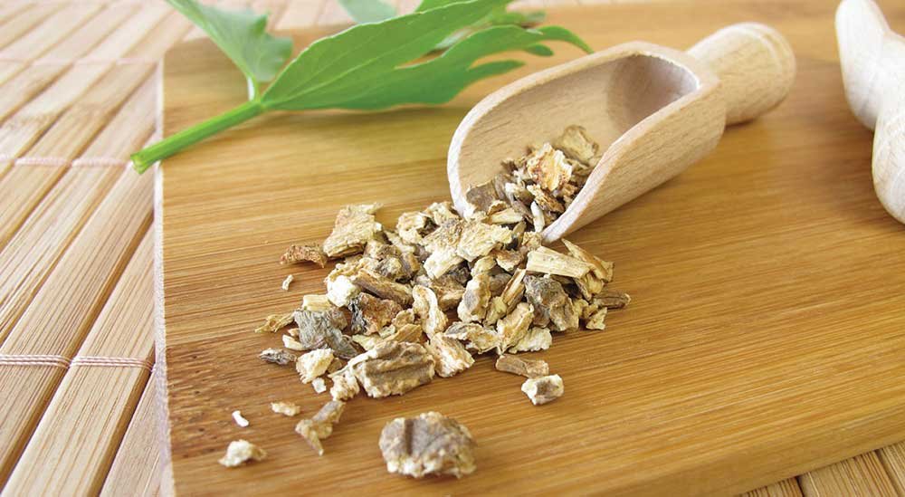 Трава любисток от алкоголизма