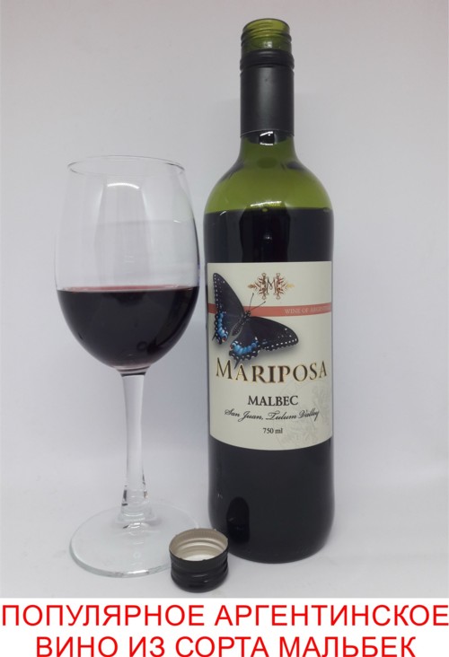 Обзор вина Мальбек
