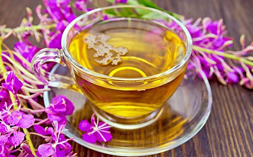 Трава любисток от алкоголизма