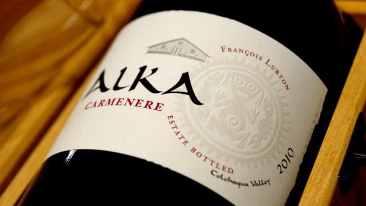 Обзор чилийского вина Карменер