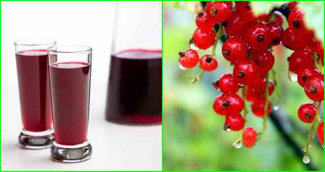 Готовим наливки и настойки из смородины