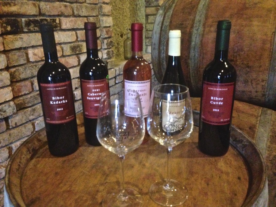 Пробуем вина Венгрии