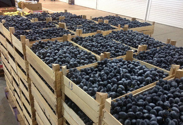 Обзор вин из Молдавии