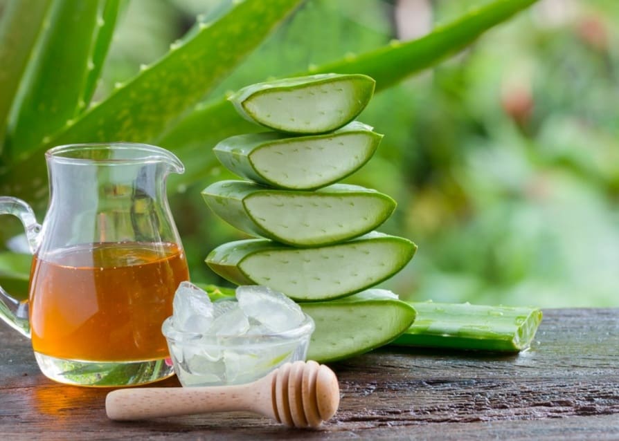 Рецепты настойки с алоэ