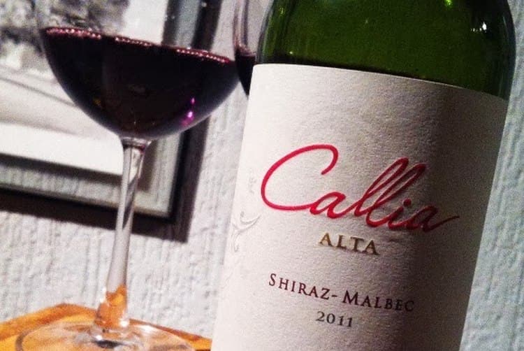 Обзор вина Мальбек