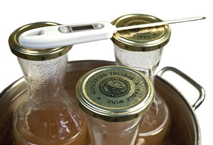 Как самому производить пастеризацию вина