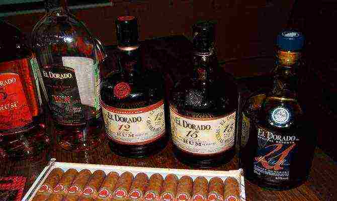 Как выбрать лучший ром