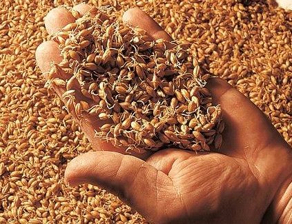 Обзор виски Джемесон Jameson