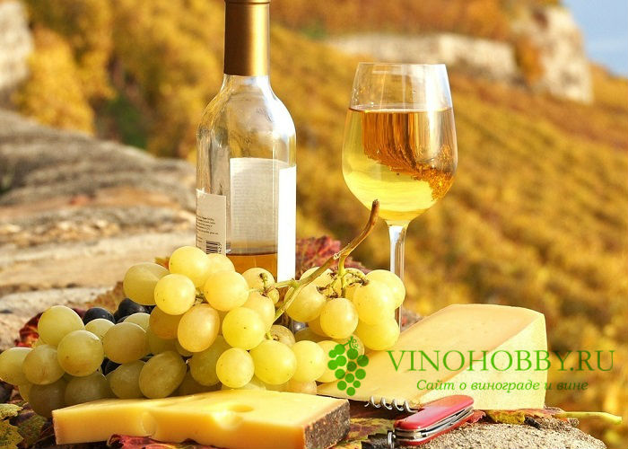 Как выбирать недорогое хорошее вино