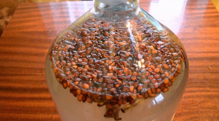 Вкусные рецепты самогона на кедровых орехах