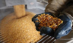 Формула, производство и применение спирта питьевого