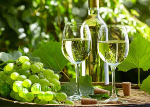 Как выбирать недорогое хорошее вино