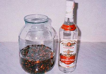 Вкусные рецепты самогона на кедровых орехах