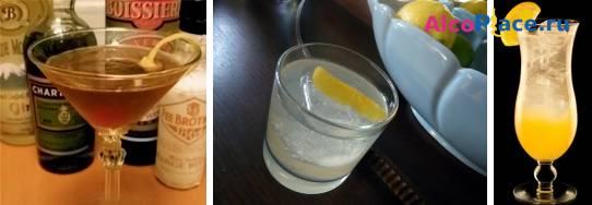 Рецепты коктейлей с джином