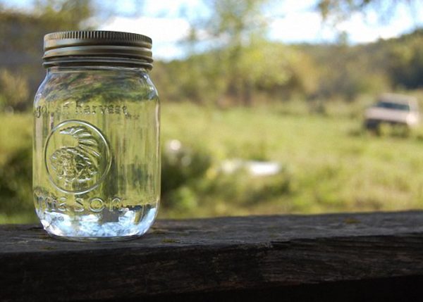 Готовим настойку из брусники