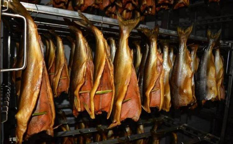 Названия рыбы к пиву