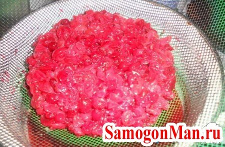 Готовим настойку из брусники