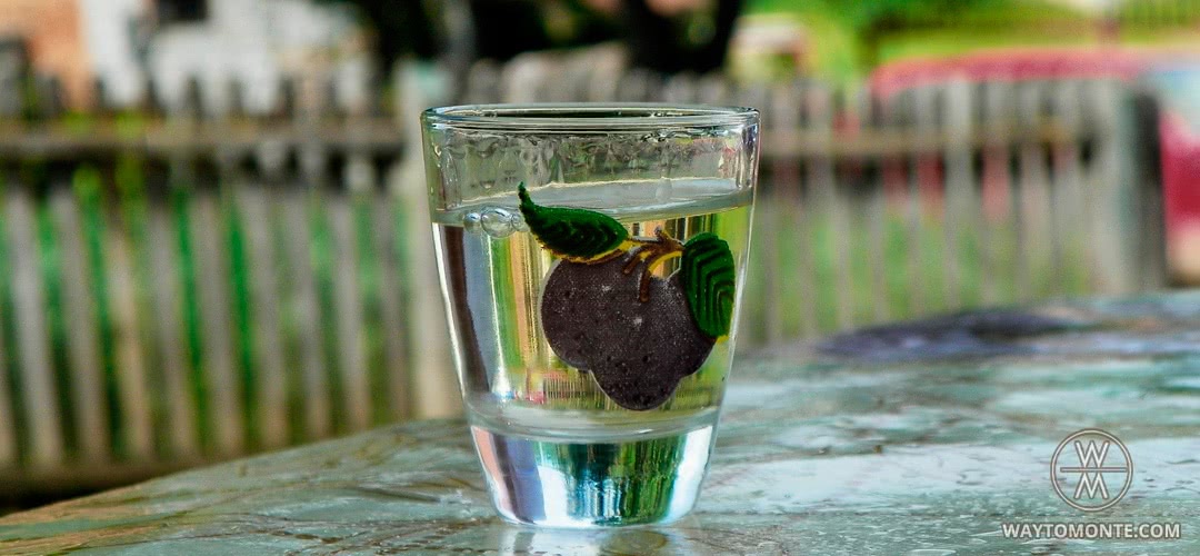 Турецкая водка Раки и Сербская Ракия