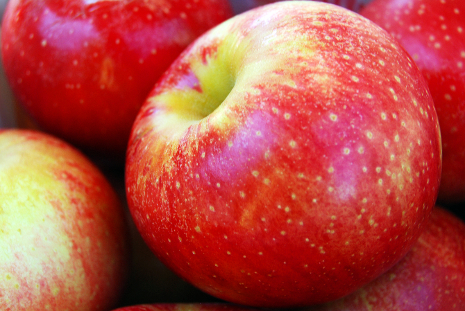 Делаем самогон из яблок