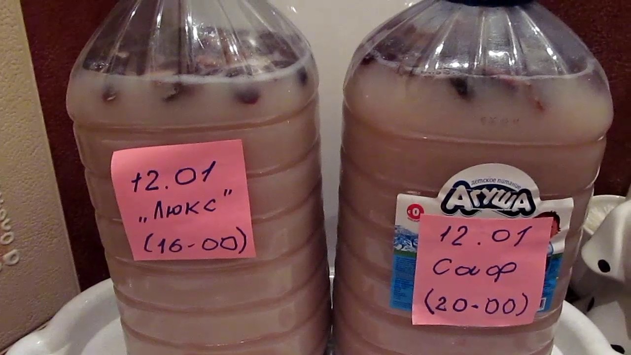 Лучшие дрожжи для самогона