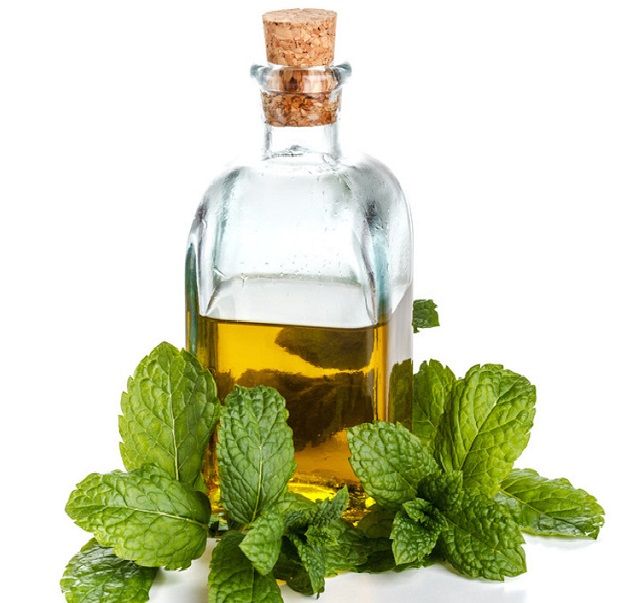 Настойка мелиссы на водке