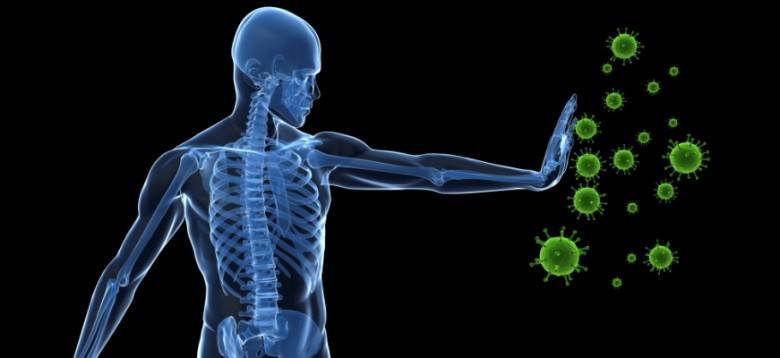 Алкоголь перед спермограммой