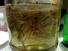 Настойка Зубровка