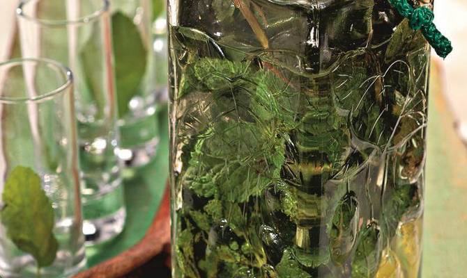 Успокоительные настойки для нервной системы