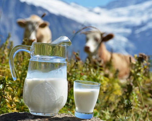 Способы очистки самогона молоком
