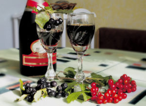 Рецепты домашних ликеров из рябины