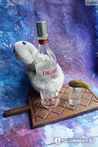 Обзор водки Finlandia
