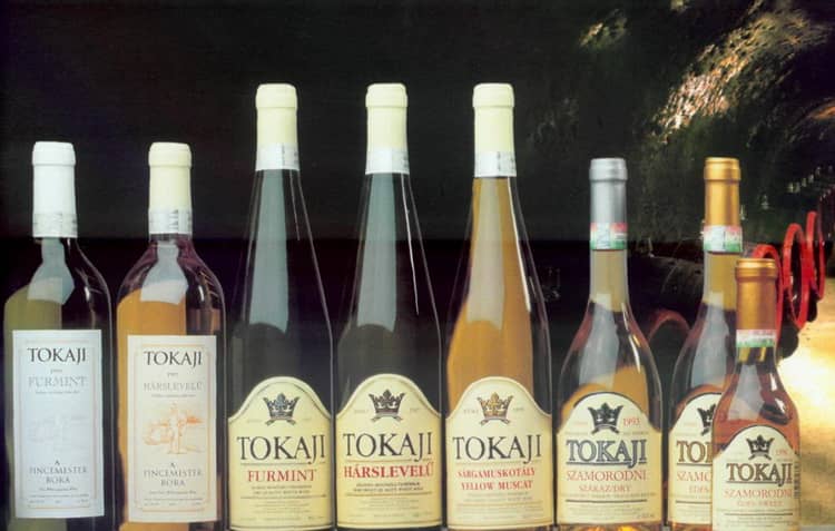 Пробуем вина Венгрии