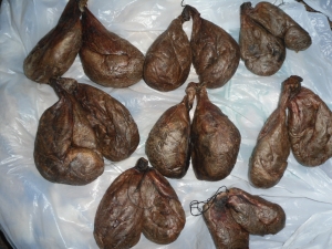 Как принимать бобровую струю