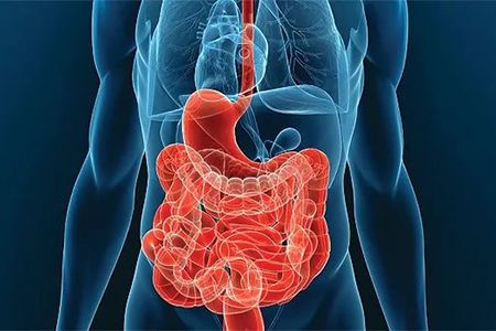 Алкоголь при приеме антибиотиков