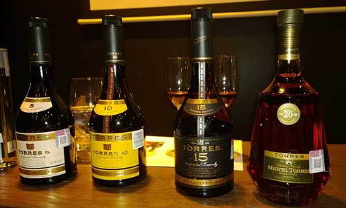 Обзор бренди Torres