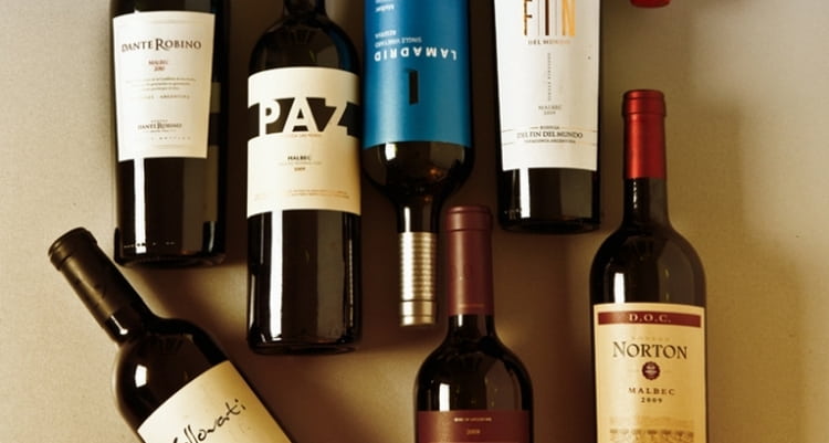 Обзор вина Мальбек