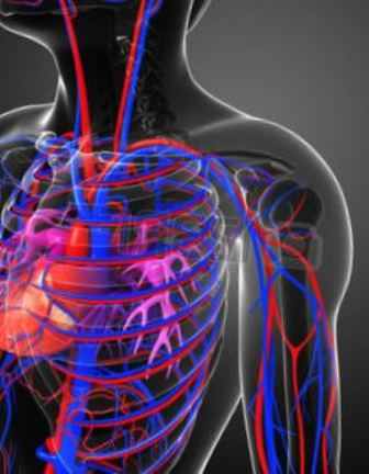 Возможно ли бросить пить самостоятельно