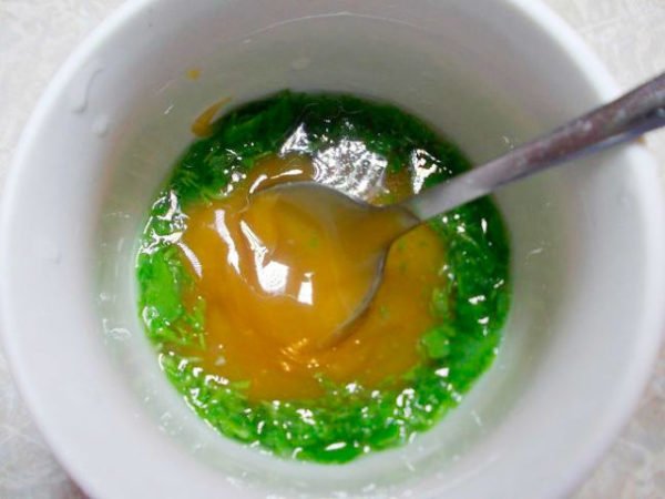 Рецепты настойки с алоэ