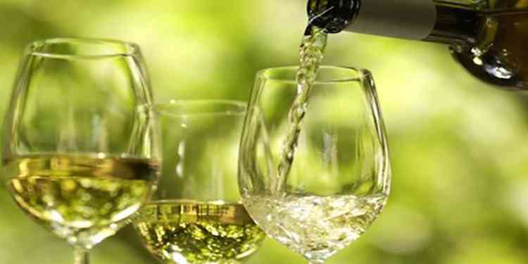 Обзор Португальских вин