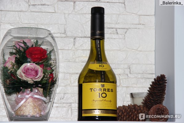 Обзор бренди Torres